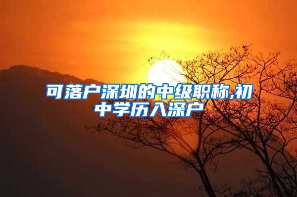 可落户深圳的中级职称,初中学历入深户