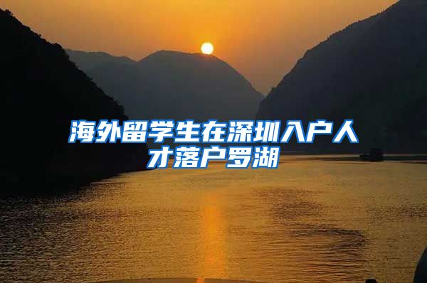 海外留学生在深圳入户人才落户罗湖