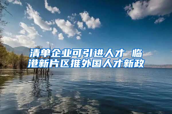 清单企业可引进人才 临港新片区推外国人才新政