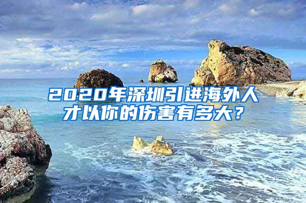 2020年深圳引进海外人才以你的伤害有多大？