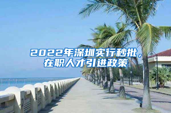 2022年深圳实行秒批，在职人才引进政策
