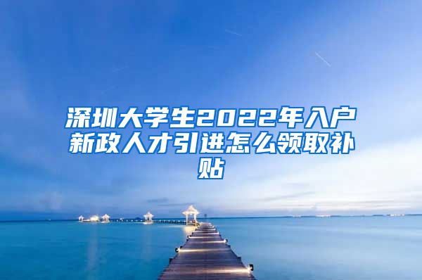 深圳大学生2022年入户新政人才引进怎么领取补贴