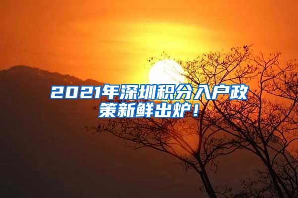 2021年深圳积分入户政策新鲜出炉！