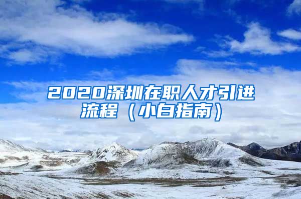 2020深圳在职人才引进流程（小白指南）