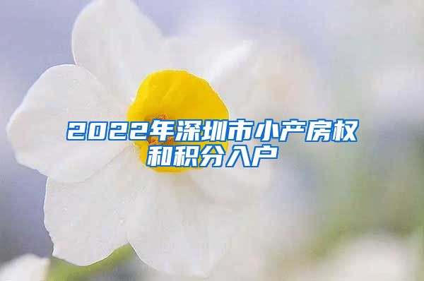 2022年深圳市小产房权和积分入户