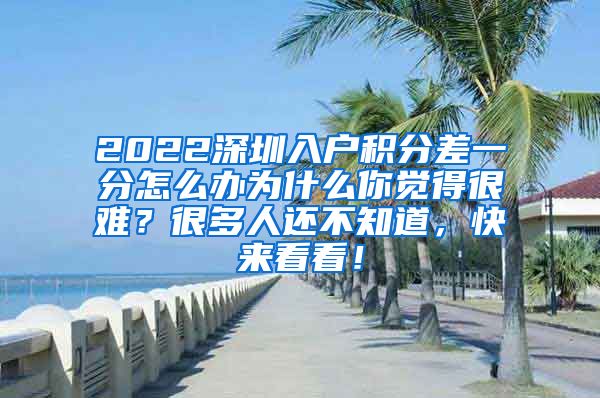 2022深圳入户积分差一分怎么办为什么你觉得很难？很多人还不知道，快来看看！