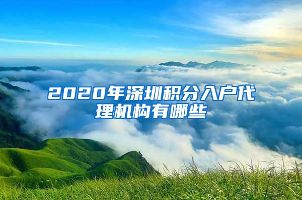 2020年深圳积分入户代理机构有哪些