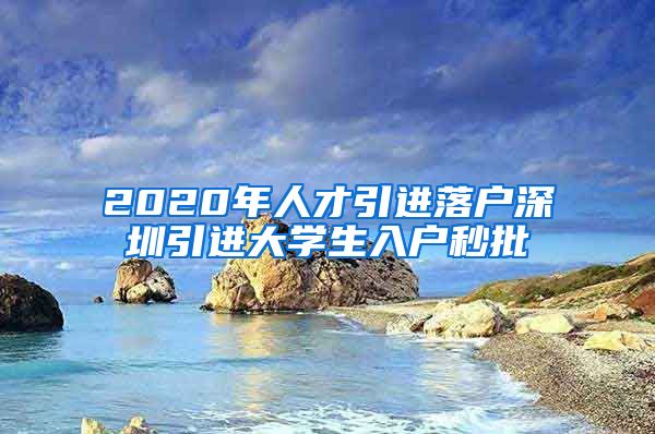 2020年人才引进落户深圳引进大学生入户秒批