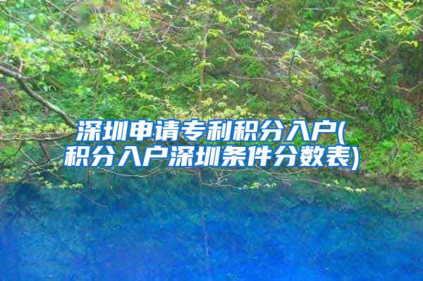 深圳申请专利积分入户(积分入户深圳条件分数表)