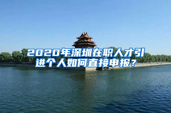 2020年深圳在职人才引进个人如何直接申报？