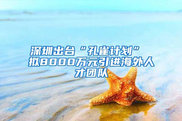 深圳出台“孔雀计划” 拟8000万元引进海外人才团队
