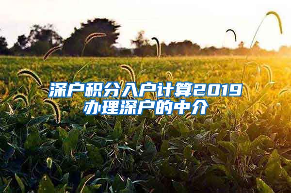 深户积分入户计算2019办理深户的中介