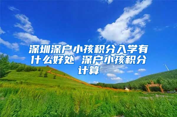 深圳深户小孩积分入学有什么好处 深户小孩积分计算