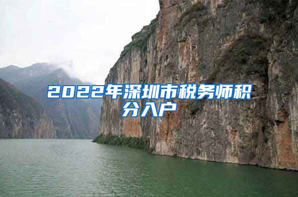 2022年深圳市税务师积分入户