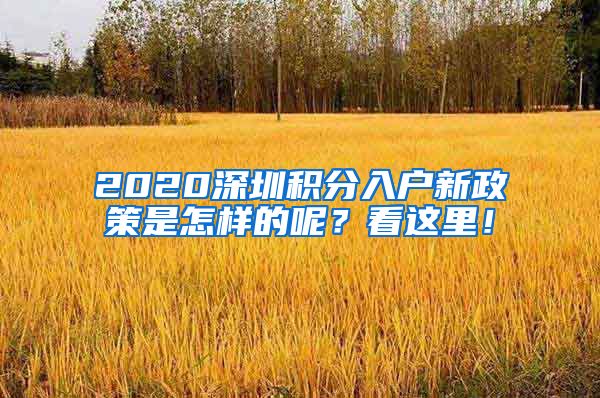 2020深圳积分入户新政策是怎样的呢？看这里！