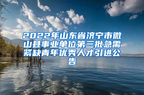 2022年山东省济宁市微山县事业单位第三批急需紧缺青年优秀人才引进公告