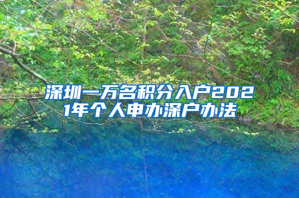 深圳一万名积分入户2021年个人申办深户办法