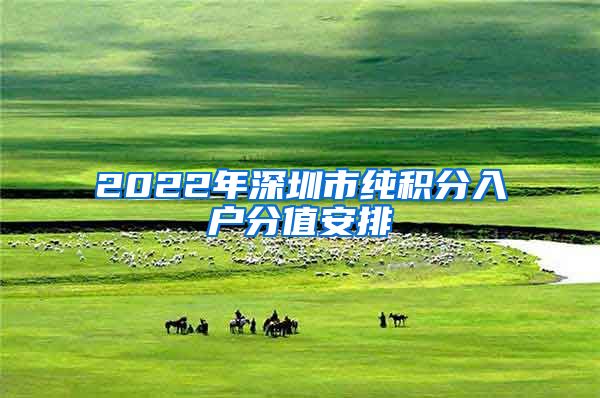 2022年深圳市纯积分入户分值安排