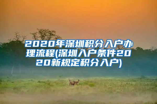 2020年深圳积分入户办理流程(深圳入户条件2020新规定积分入户)