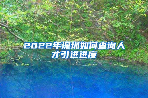 2022年深圳如何查询人才引进进度