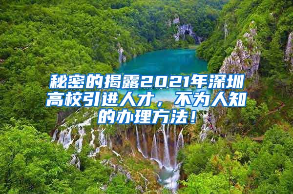 秘密的揭露2021年深圳高校引进人才，不为人知的办理方法！