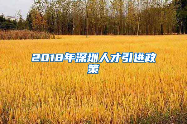 2018年深圳人才引进政策