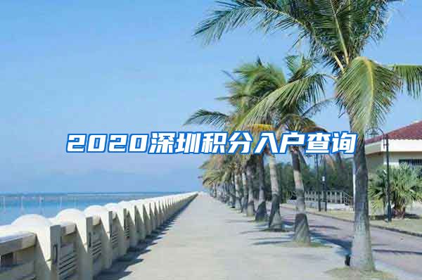 2020深圳积分入户查询