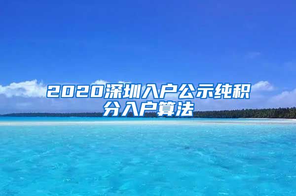 2020深圳入户公示纯积分入户算法