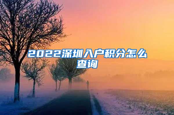 2022深圳入户积分怎么查询