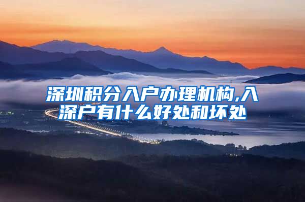 深圳积分入户办理机构,入深户有什么好处和坏处