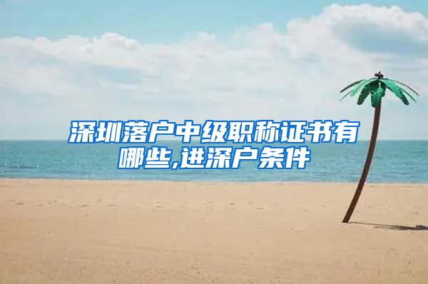 深圳落户中级职称证书有哪些,进深户条件