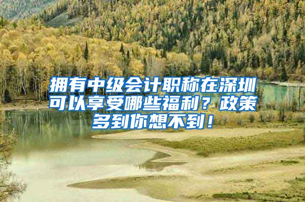 拥有中级会计职称在深圳可以享受哪些福利？政策多到你想不到！