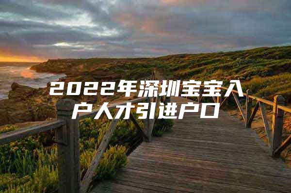 2022年深圳宝宝入户人才引进户口