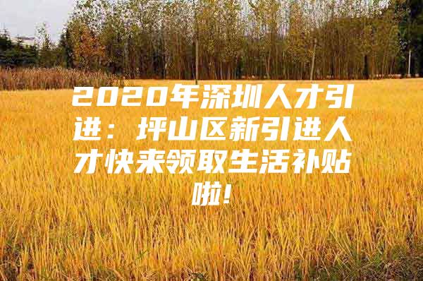 2020年深圳人才引进：坪山区新引进人才快来领取生活补贴啦!