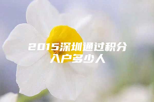 2015深圳通过积分入户多少人