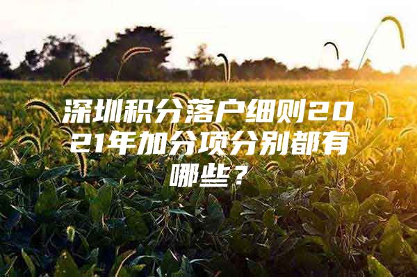 深圳积分落户细则2021年加分项分别都有哪些？