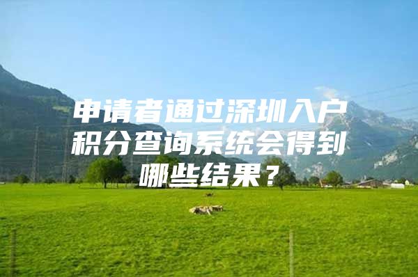 申请者通过深圳入户积分查询系统会得到哪些结果？