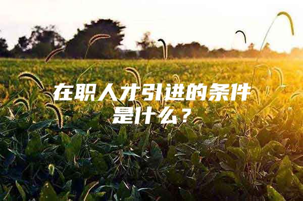 在职人才引进的条件是什么？