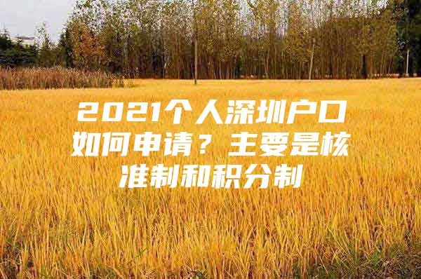 2021个人深圳户口如何申请？主要是核准制和积分制