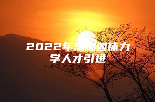 2022年深圳固体力学人才引进