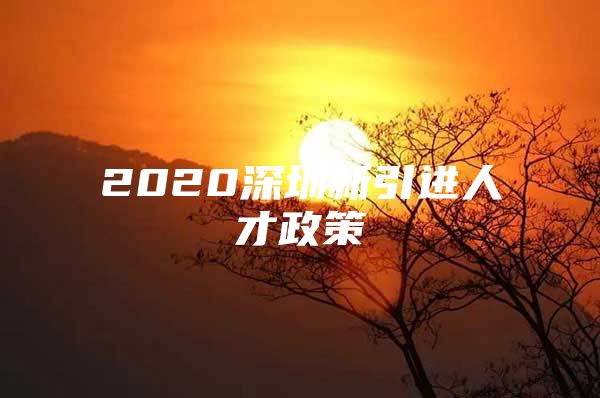 2020深圳新引进人才政策