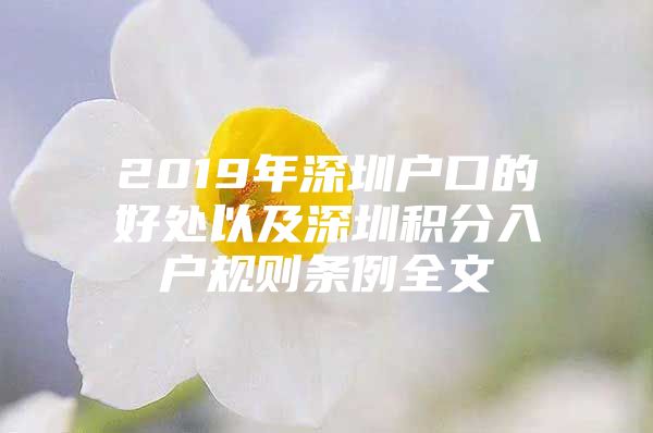 2019年深圳户口的好处以及深圳积分入户规则条例全文