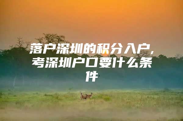 落户深圳的积分入户,考深圳户口要什么条件