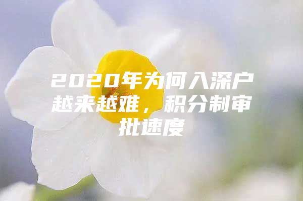 2020年为何入深户越来越难，积分制审批速度