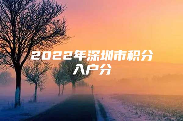 2022年深圳市积分入户分