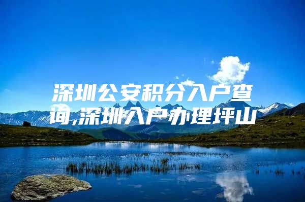 深圳公安积分入户查询,深圳入户办理坪山