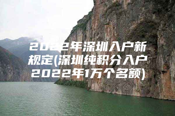 2022年深圳入户新规定(深圳纯积分入户2022年1万个名额)