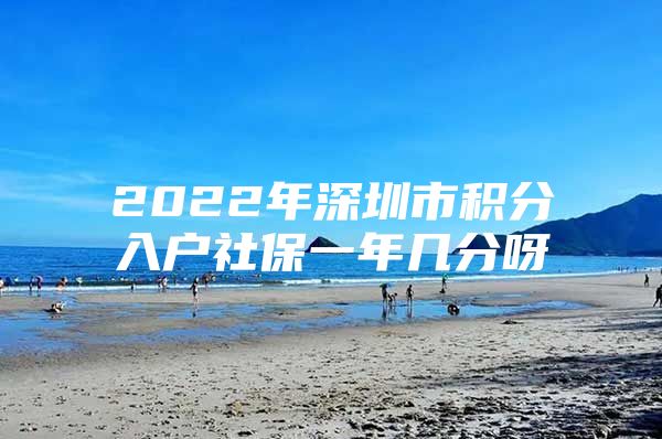 2022年深圳市积分入户社保一年几分呀