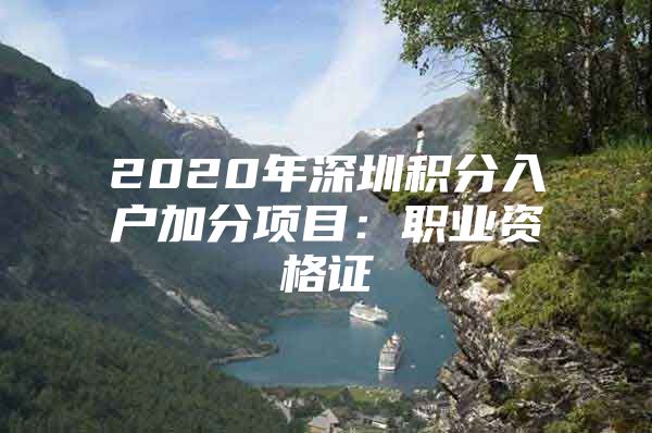 2020年深圳积分入户加分项目：职业资格证