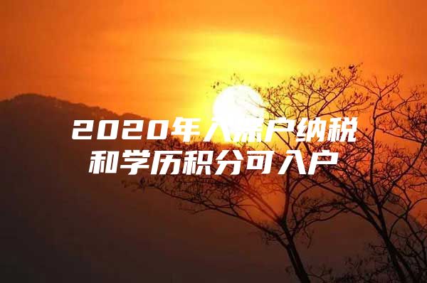 2020年入深户纳税和学历积分可入户